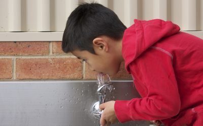 “Get the Lead Out” Campaign Aims To Raise Awareness In Schools Over Lead In Drinking Water