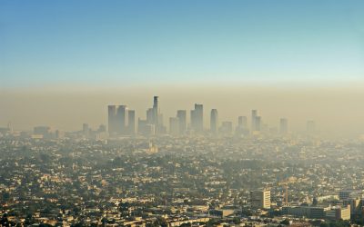 Air Pollution Cited As Cause of Death – Will Lawsuits Follow?