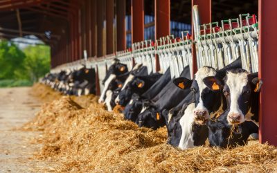 Bryna Misiura To Speak On Environmental Impact of Concentrated Animal Feeding Operations At Prestigious Claims and Litigation Management Conference