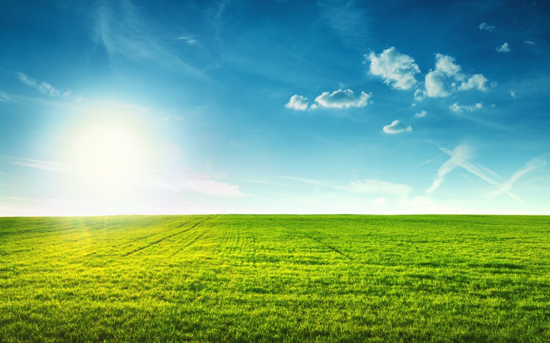 EPA’s Regulations Regarding Hydrofluorocarbons Stricken