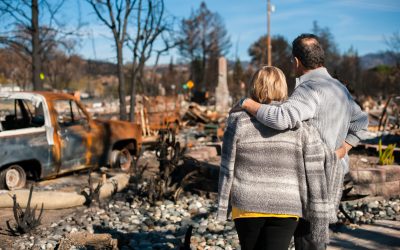 Suzanne Englot Publishes Article On Resilience For Environmental Claims