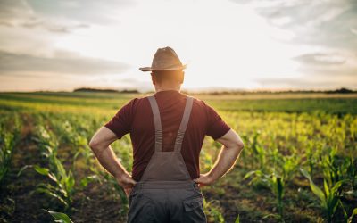 Maine Looks To Be First In Nation With PFAS Statute of Limitations