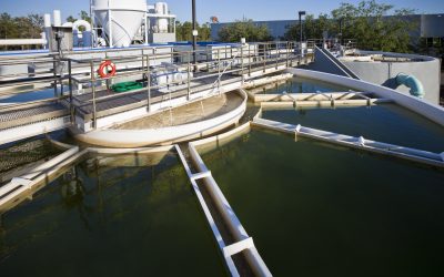 PFAS CERCLA Exemptions Lobbying Increases