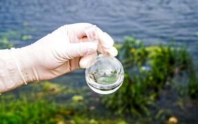 New York PFAS Drinking Water Standards May Expand