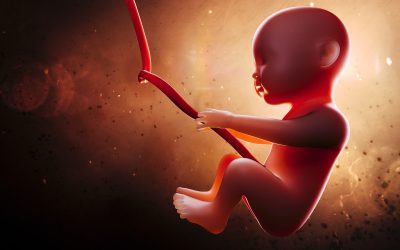 PFAS Study Looks At Mothers and Infants Exposure Levels