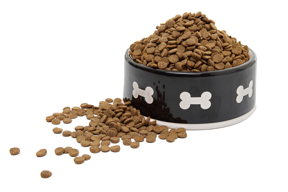 Pet Food Contains Lead, Arsenic, and Mercury, Plaintiff Says