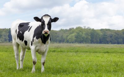 PFAS Lawsuit Continues Trend of Downstream Liability Risks