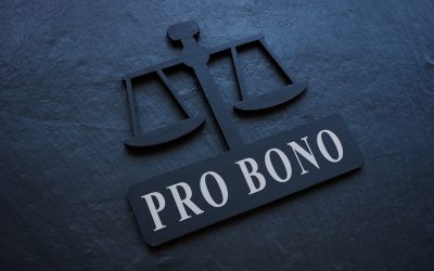 Christine Calareso’s Pro Bono Work Lauded By Client