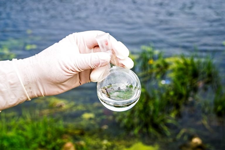 New York PFAS drinking water