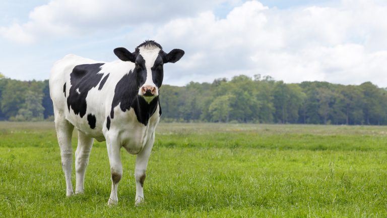 PFAS lawsuit