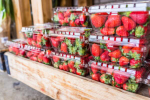 What Strawberries Can Teach Us About the Next Wave of PFAS Litigation